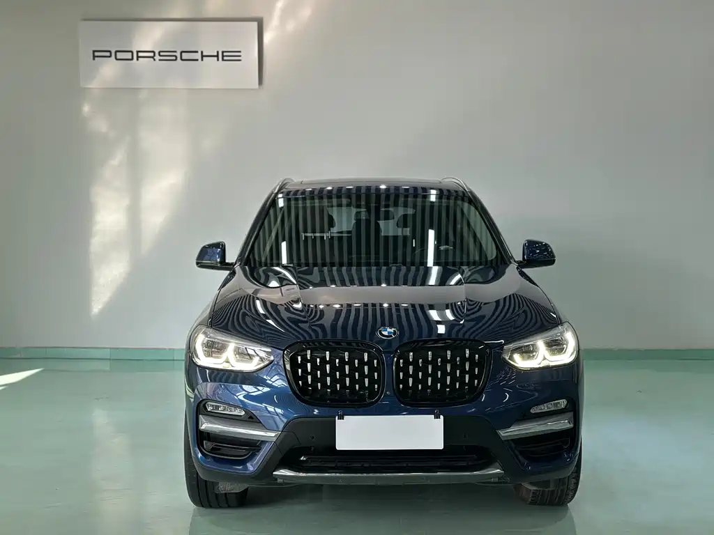 BMW X3 2018 xDrive25i Luxury VI