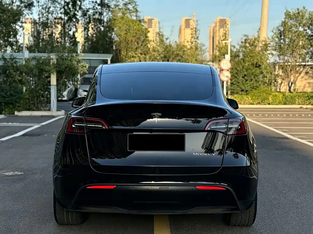 Tesla Model Y — миниатюра 13