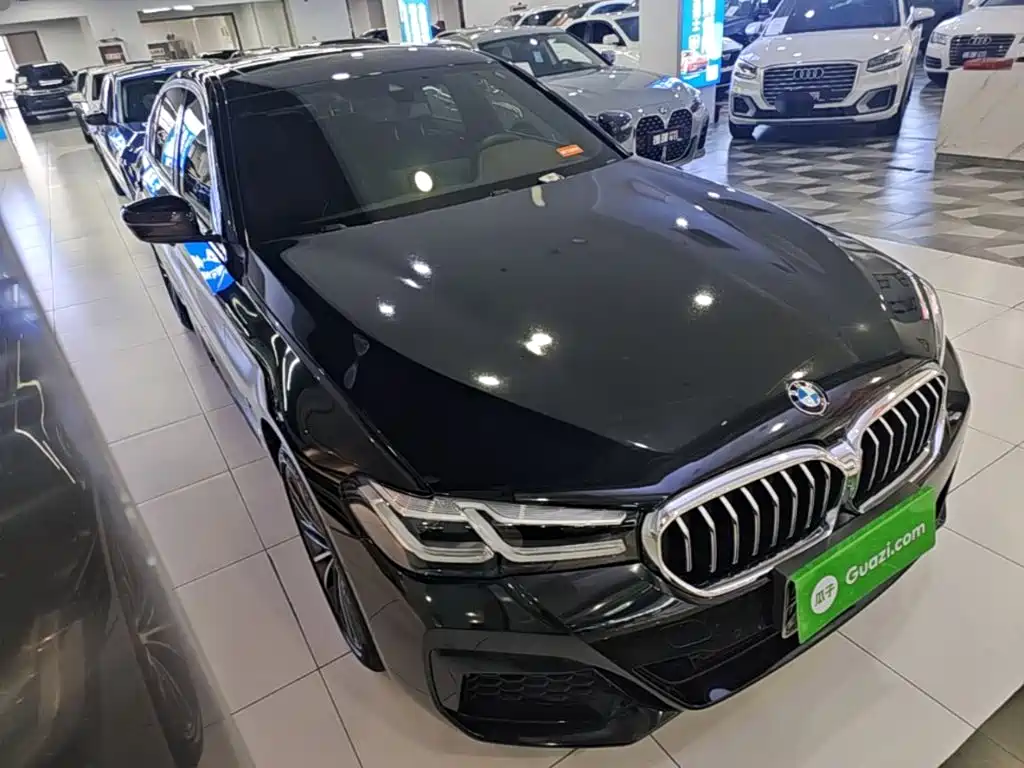 BMW 5 Series — миниатюра 4