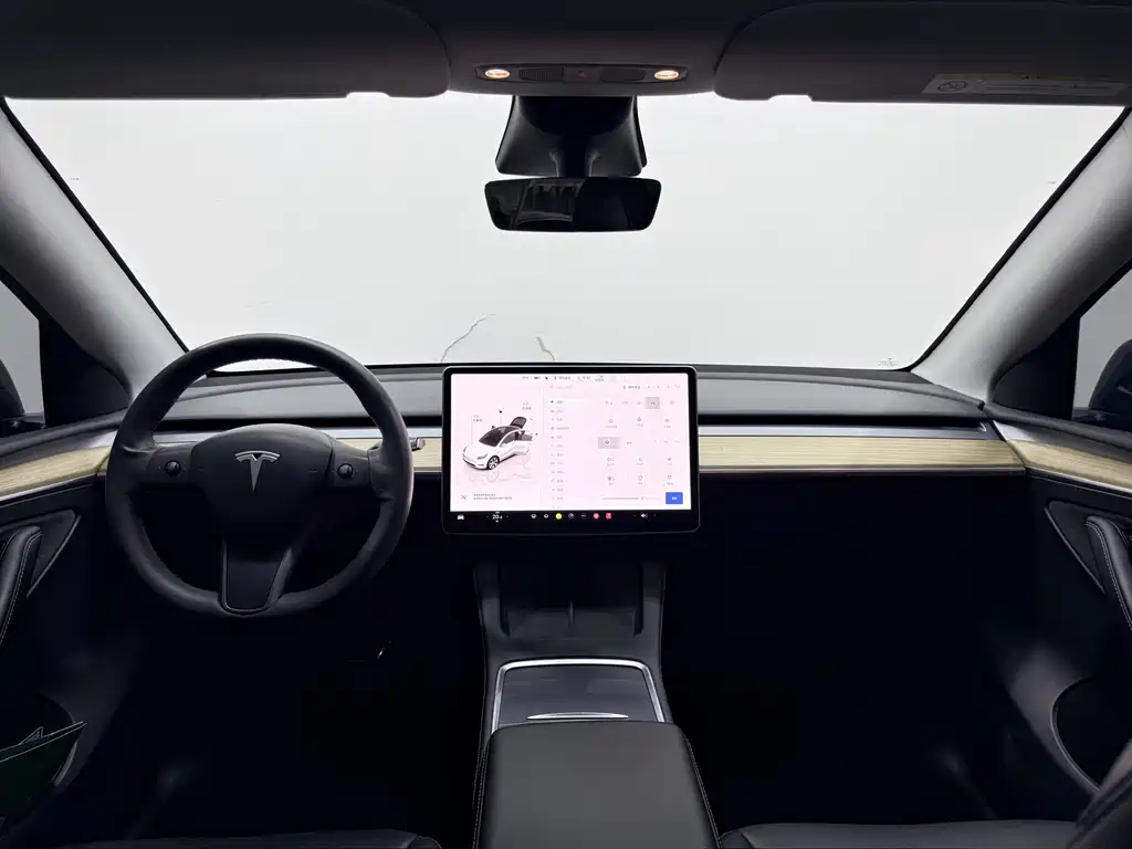 Tesla Model Y — миниатюра 5