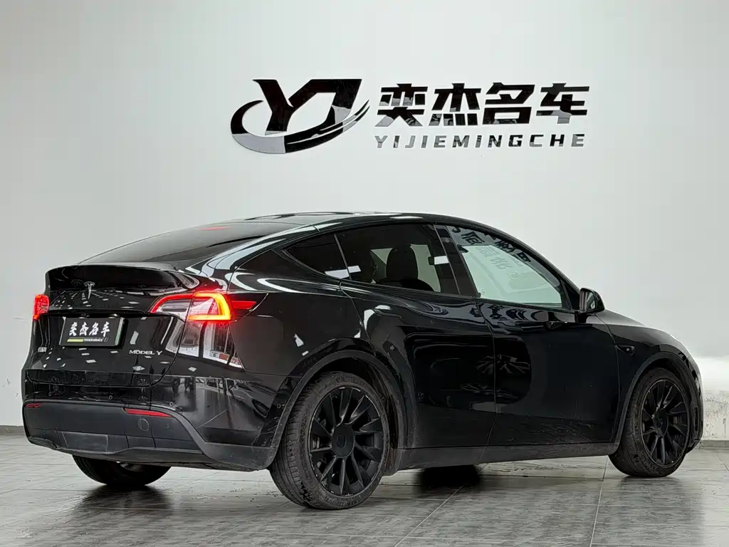 Tesla Model Y — миниатюра 8