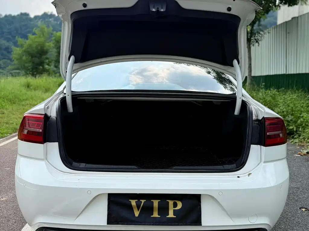Volkswagen Lamando — миниатюра 11