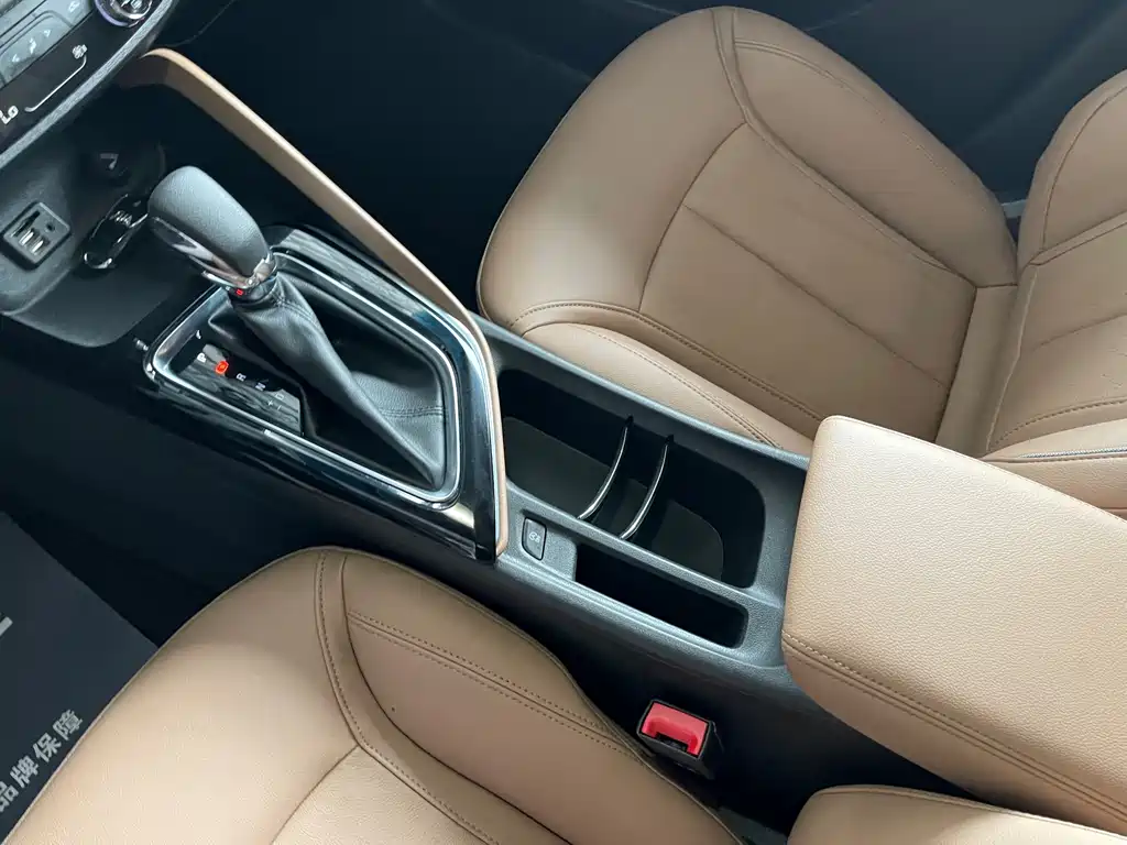 Buick GL6 — миниатюра 16