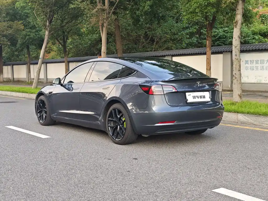 Tesla Model 3 — миниатюра 4
