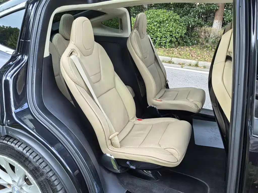 Tesla Model X — миниатюра 10