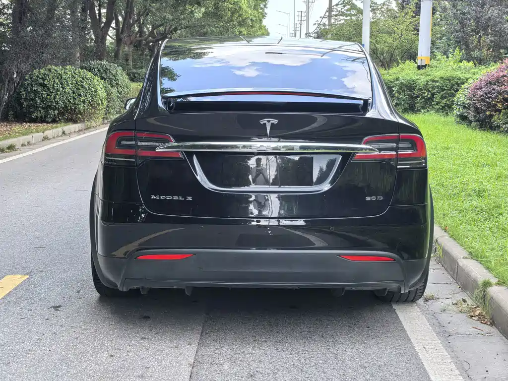 Tesla Model X — миниатюра 6