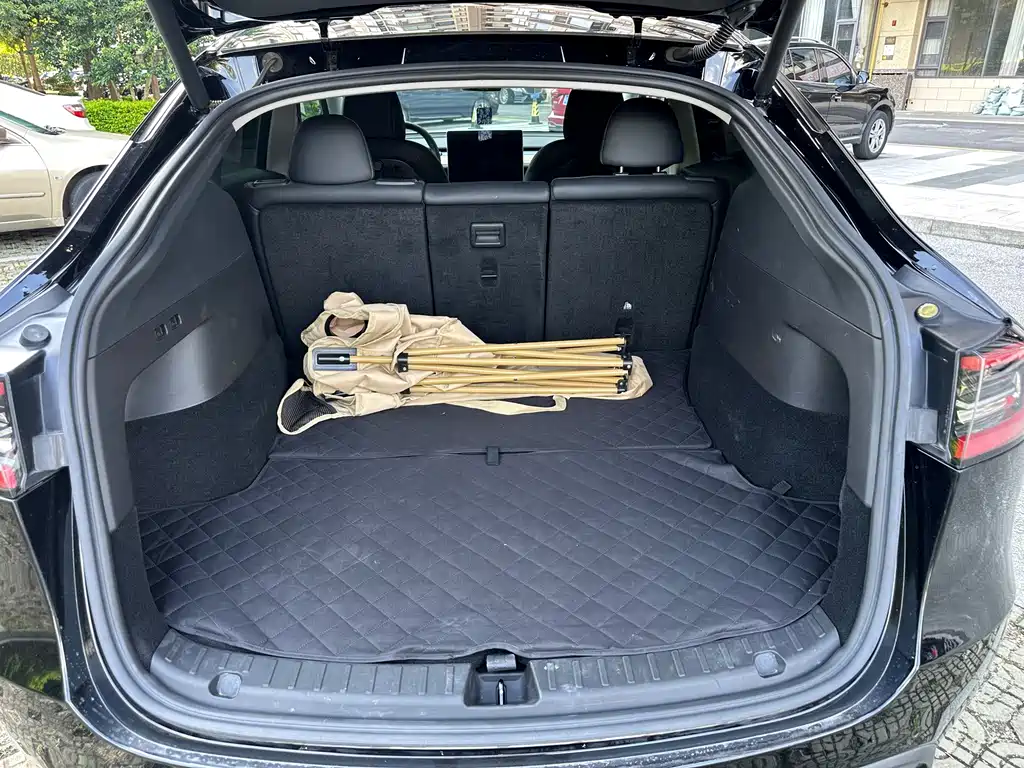 Tesla Model Y — миниатюра 8