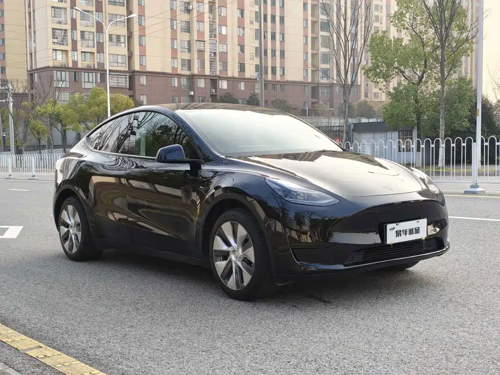Tesla Model Y — миниатюра 2