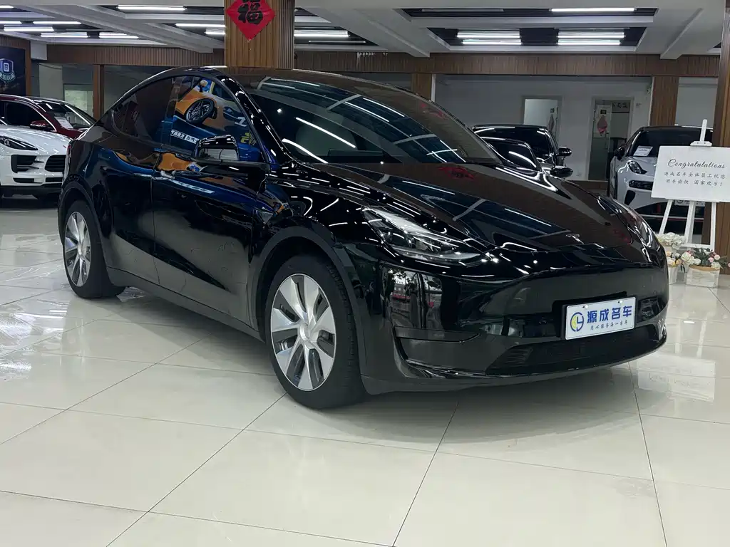 Tesla Model Y — миниатюра 4