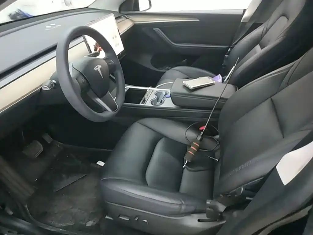 Tesla Model Y — миниатюра 15