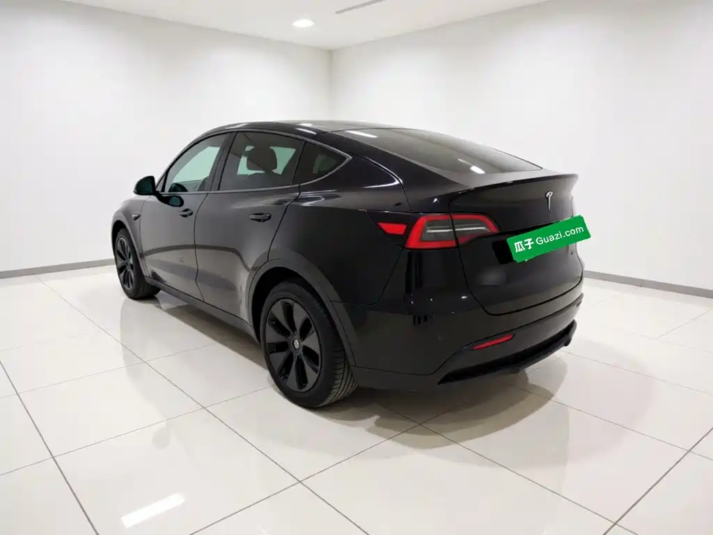 Tesla Model Y — миниатюра 4