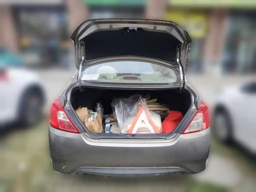 Nissan Sunny — миниатюра 15