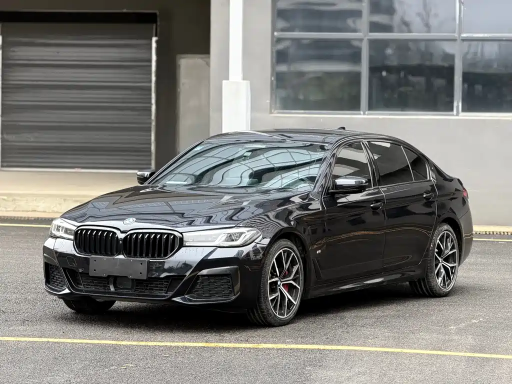 BMW 5 Series New Energy