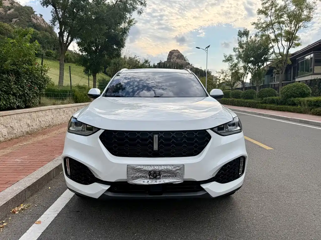 Wey Wey VV6 — миниатюра 2