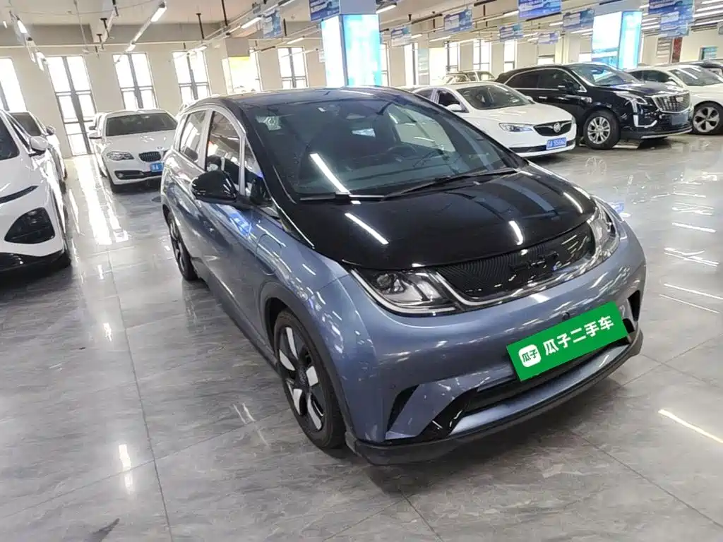 BYD Dolphin — миниатюра 4