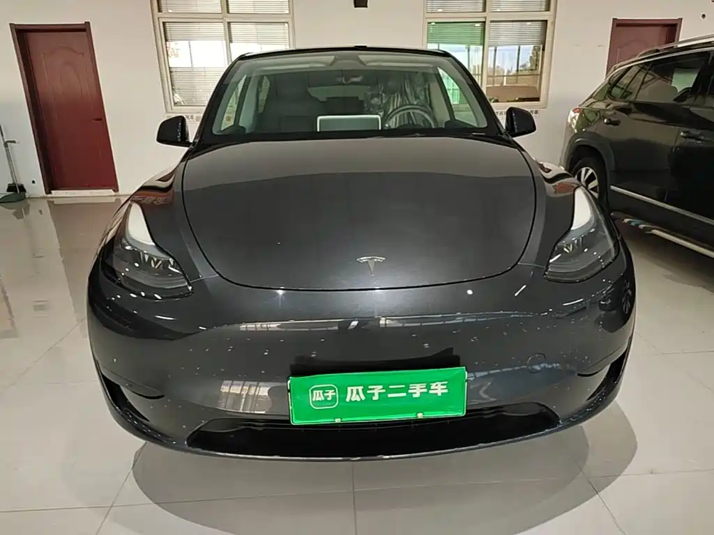 Tesla Model Y — миниатюра 3