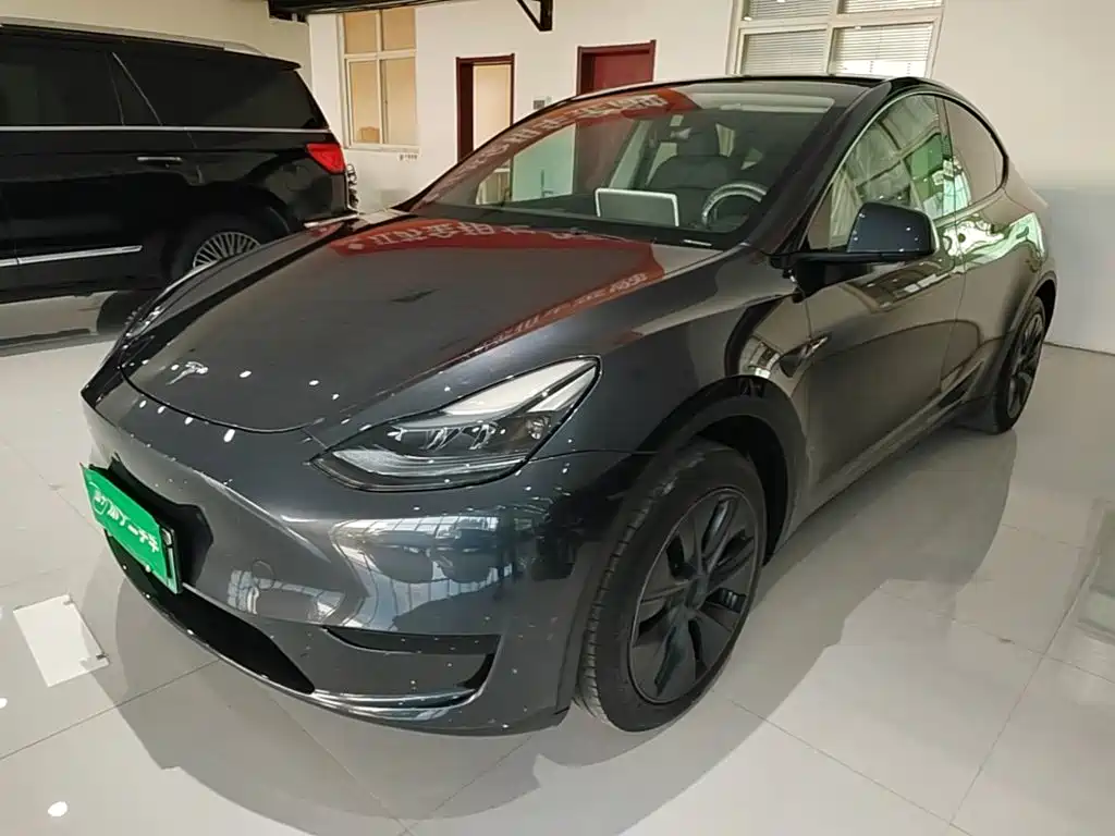 Tesla Model Y — миниатюра 2
