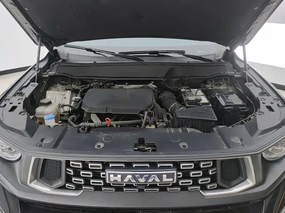 Haval Haval Big Dog PLUS — миниатюра 10