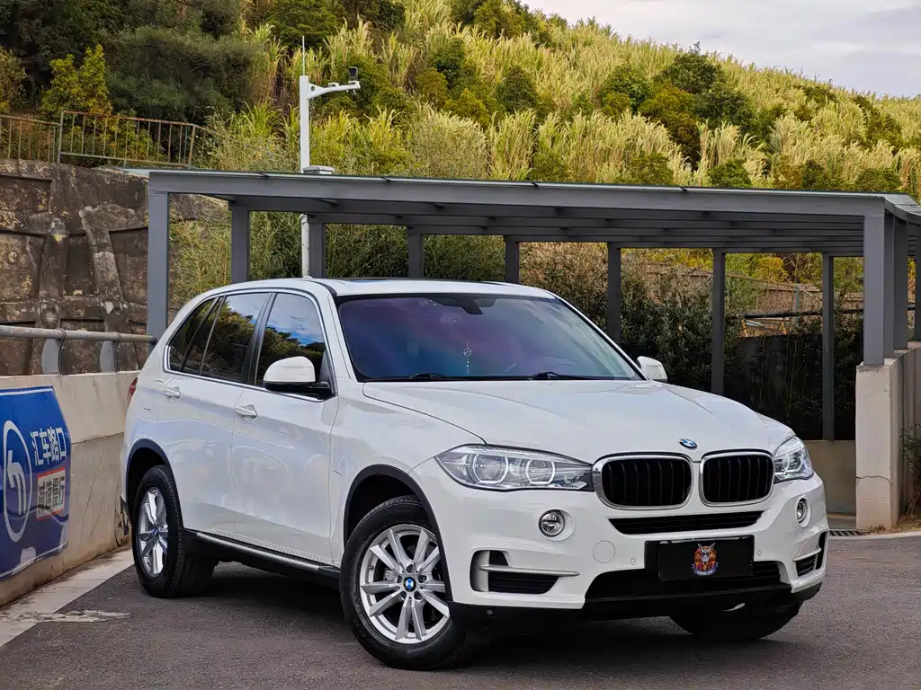 BMW X5 2017 xDrive35i Luxury