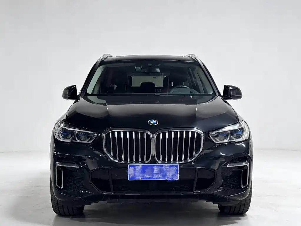 BMW X5 — миниатюра 3