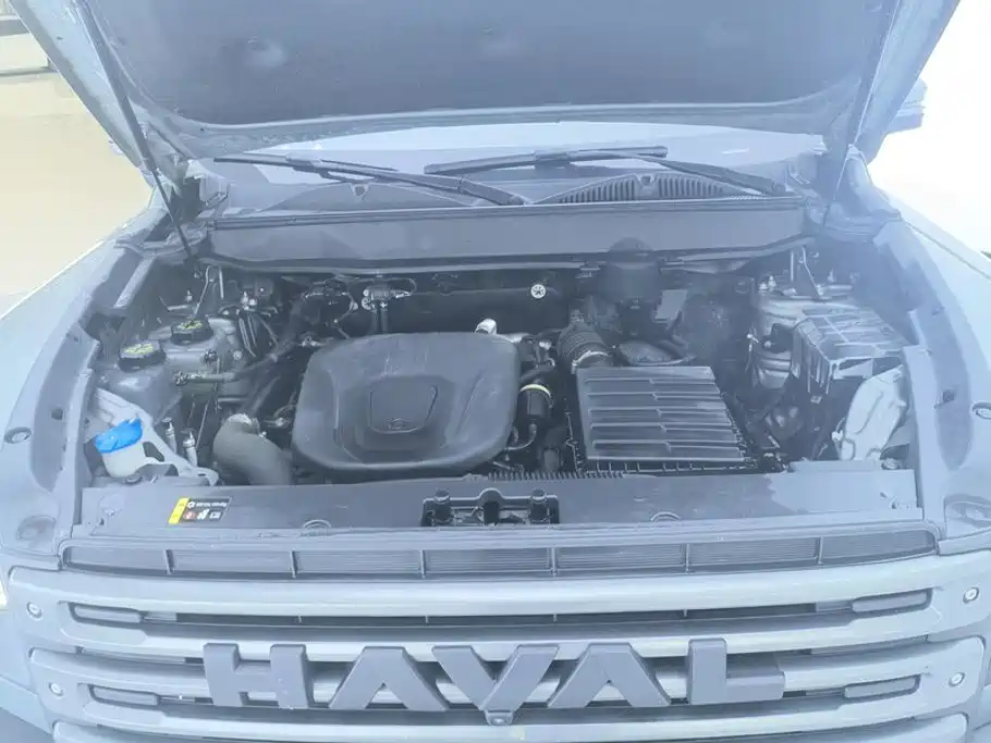 Haval Menglong New Energy — миниатюра 10