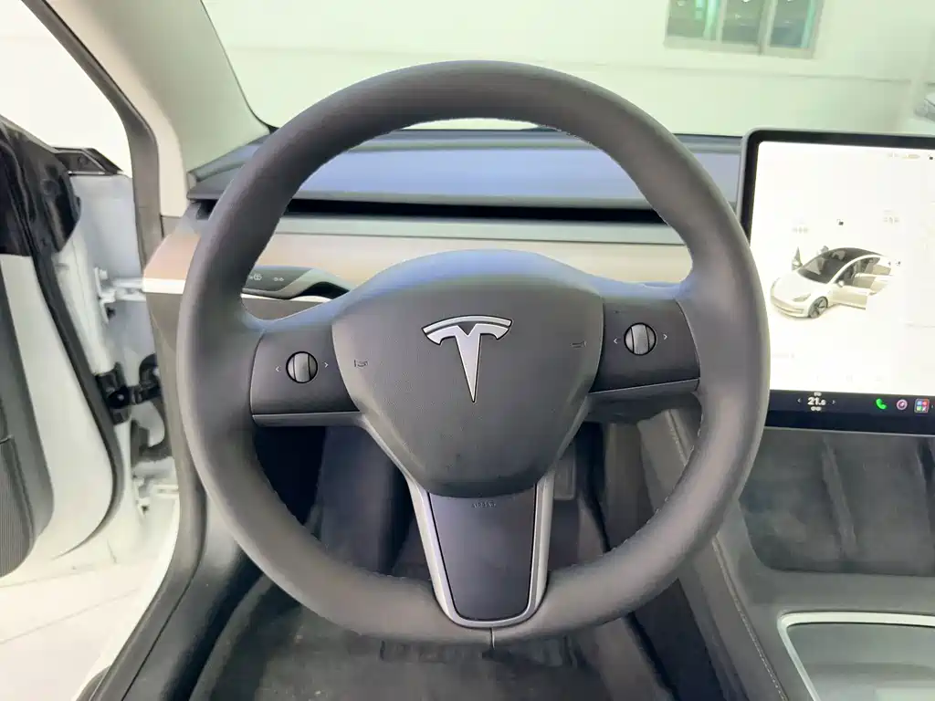 Tesla Model 3 — миниатюра 15