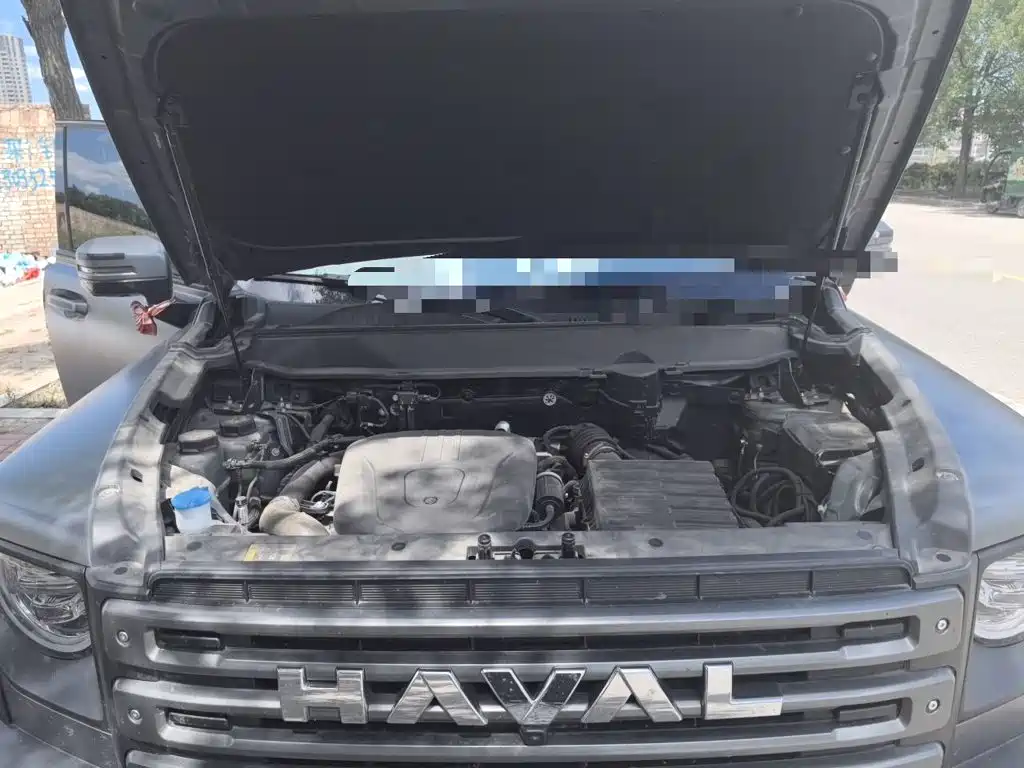 Haval Menglong New Energy — миниатюра 16