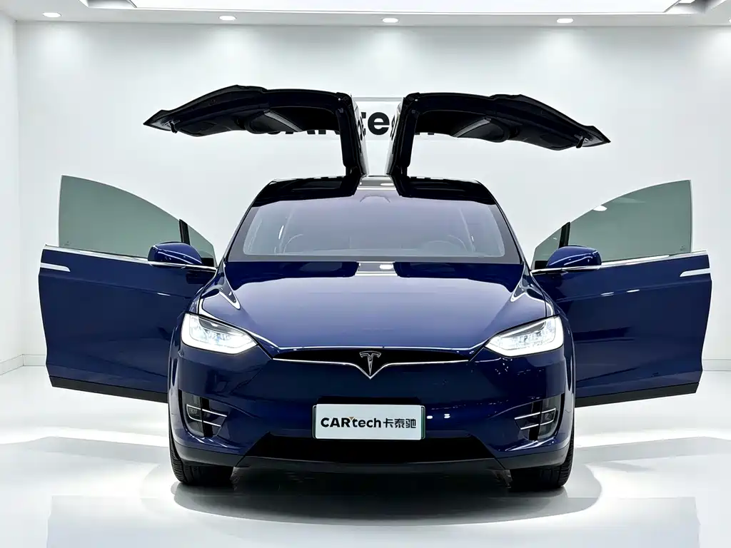 Tesla Model X — миниатюра 4