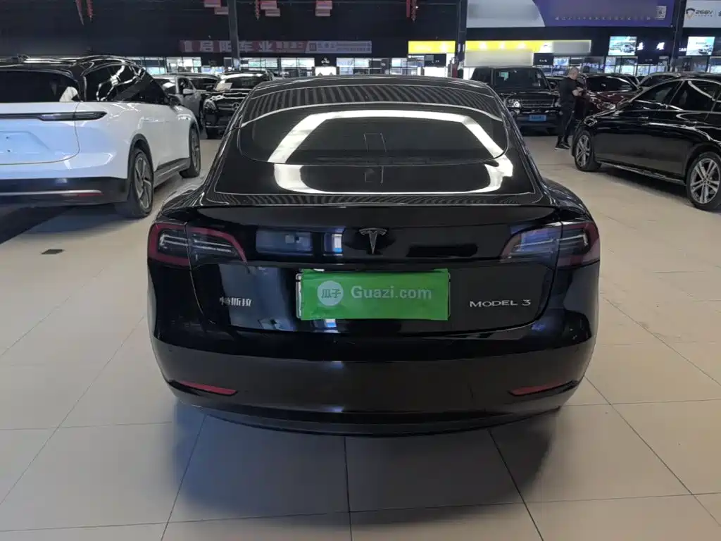 Tesla Model 3 — миниатюра 6