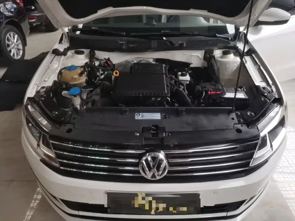 Volkswagen Gran Lavida — миниатюра 20
