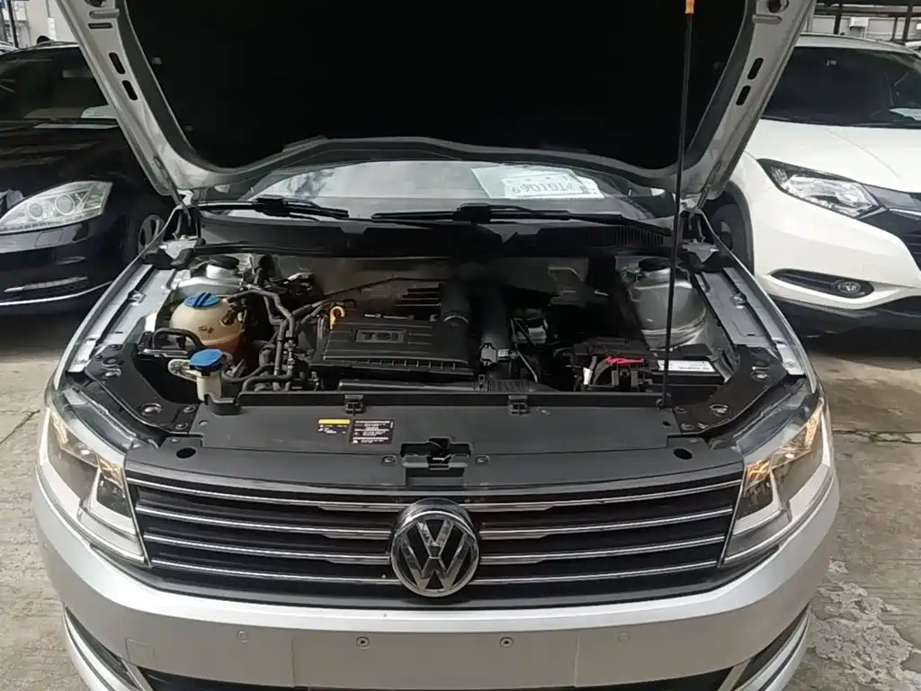 Volkswagen Gran Lavida — миниатюра 20