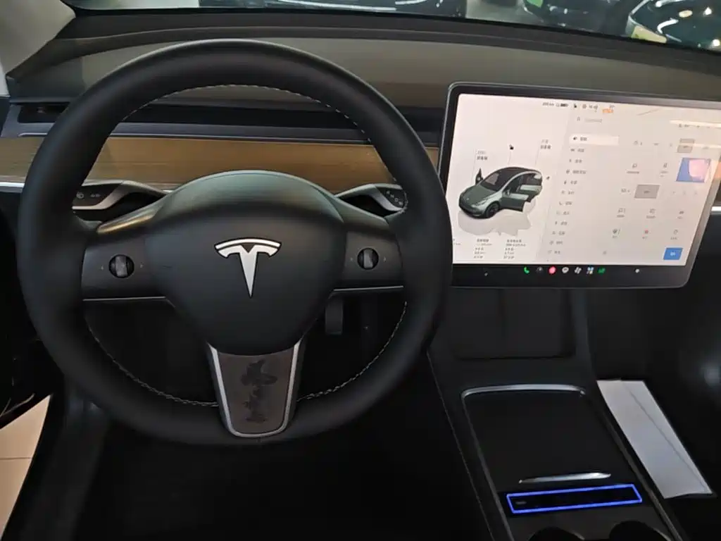 Tesla Model Y — миниатюра 14