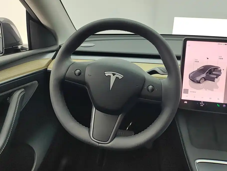 Tesla Model Y — миниатюра 15