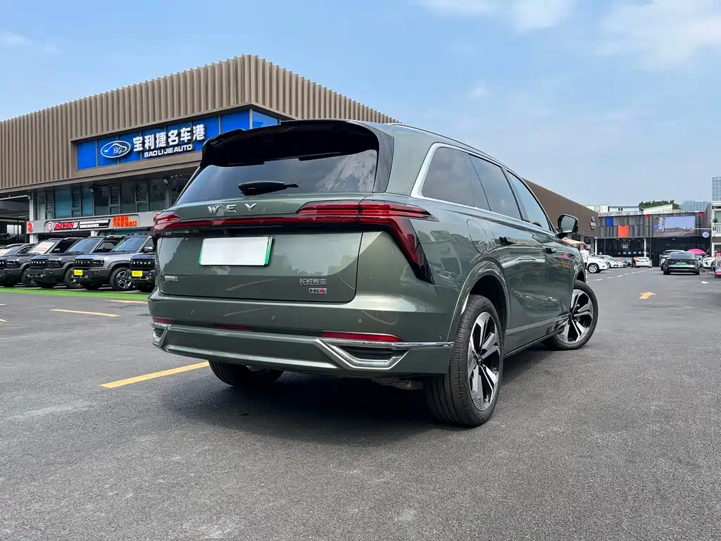 Wey Wey Lanshan — миниатюра 6