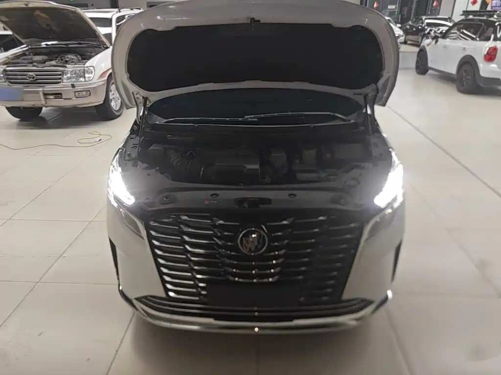 Buick GL8 — миниатюра 20