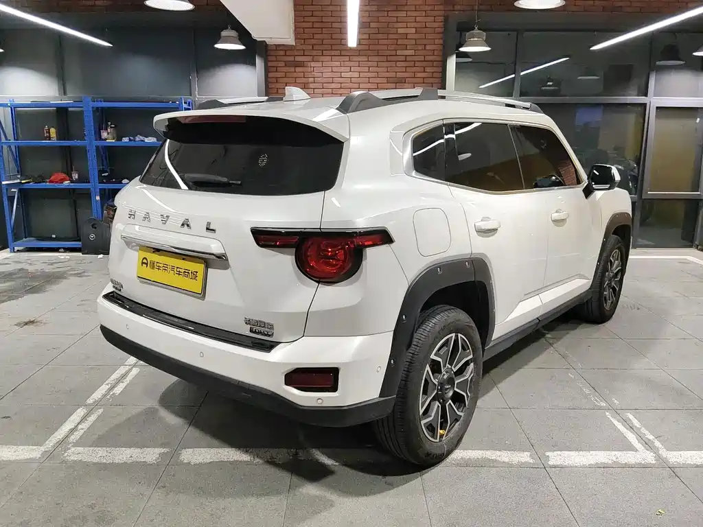 Haval Плюс новая энергия. — миниатюра 4