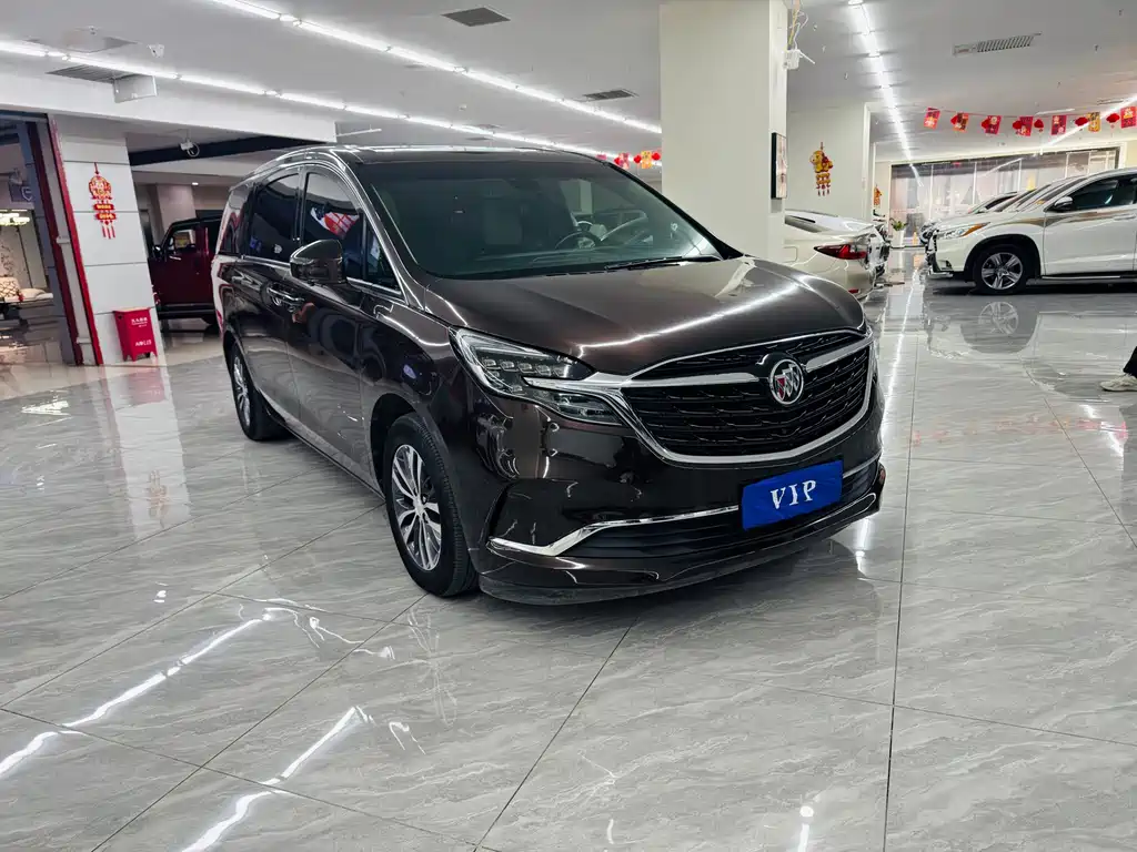 Buick GL8 — миниатюра 3