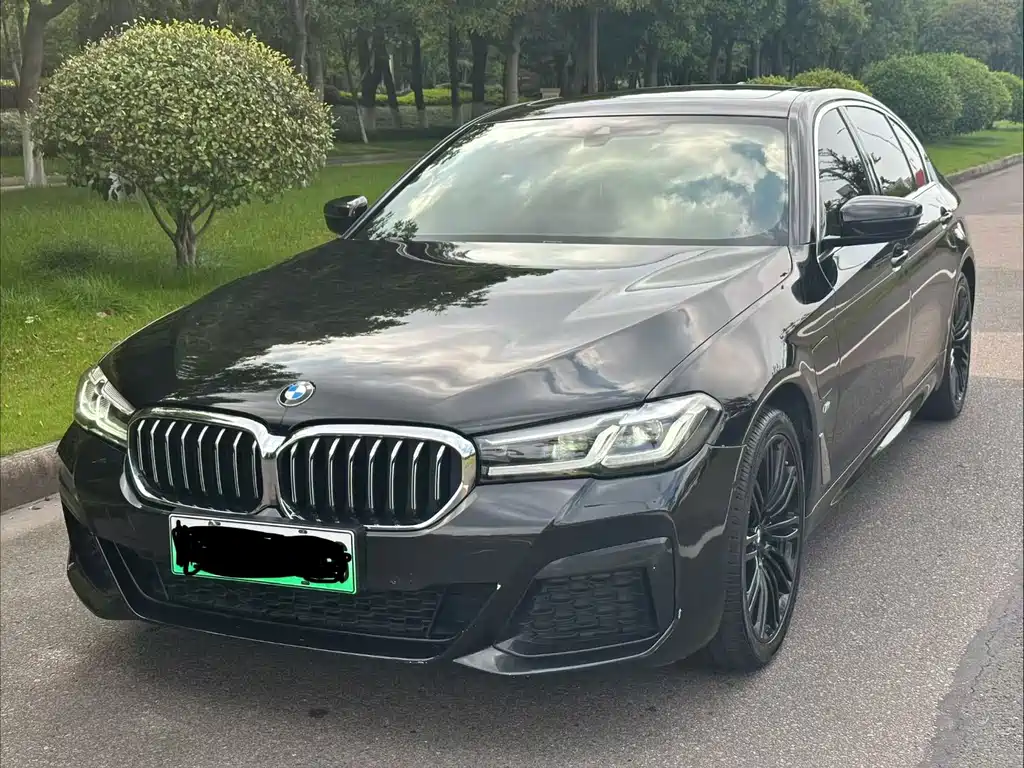BMW 5 Series New Energy 2020
