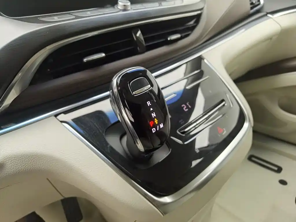 Buick GL8 — миниатюра 13