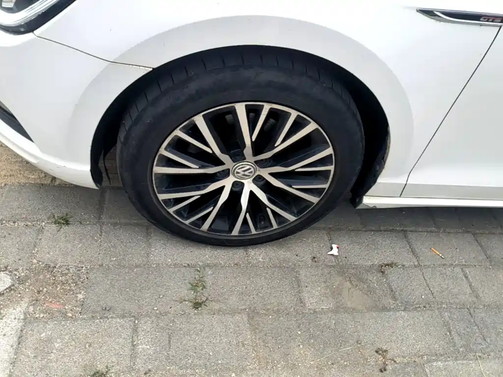 Volkswagen Lamando — миниатюра 23