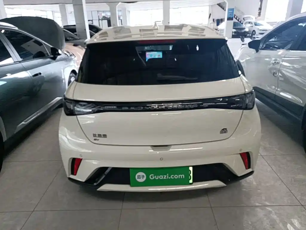 BYD Dolphin — миниатюра 6