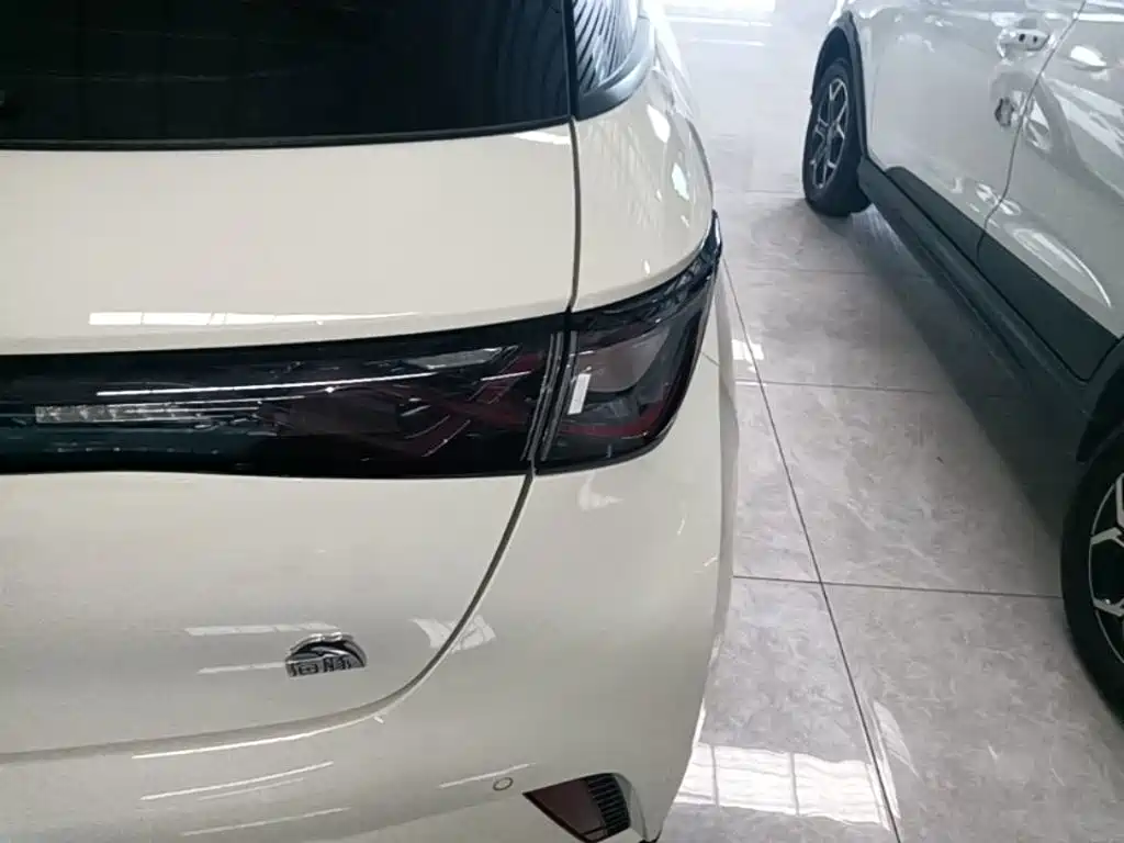 BYD Dolphin — миниатюра 8
