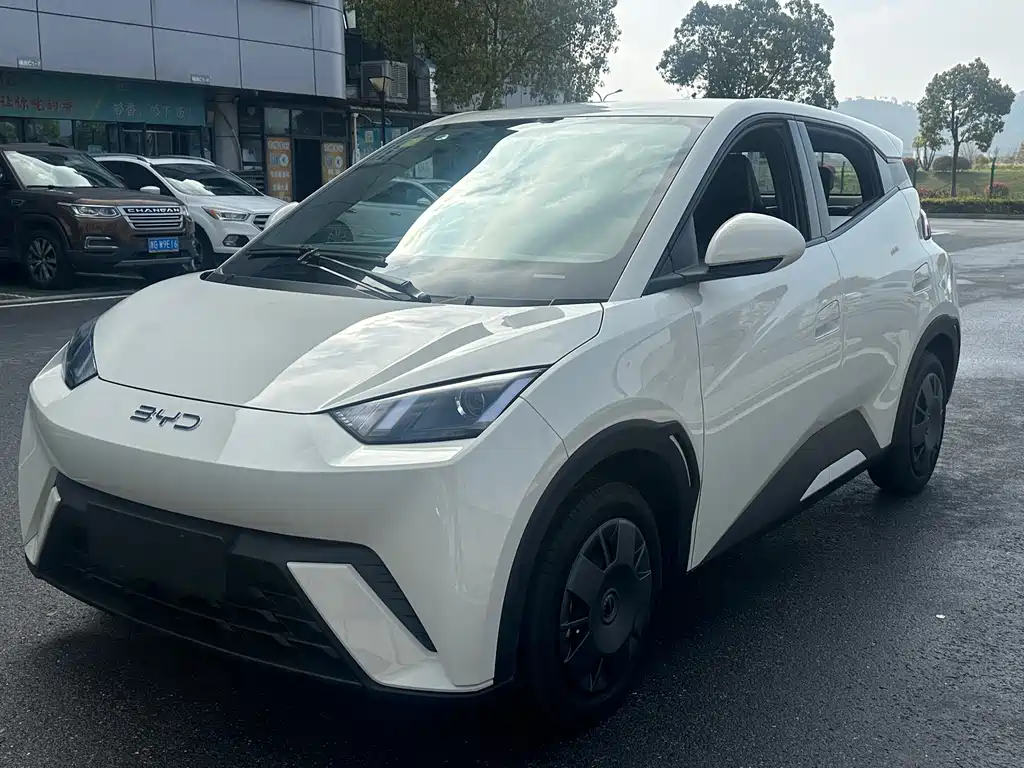 Byd Seagull 2025