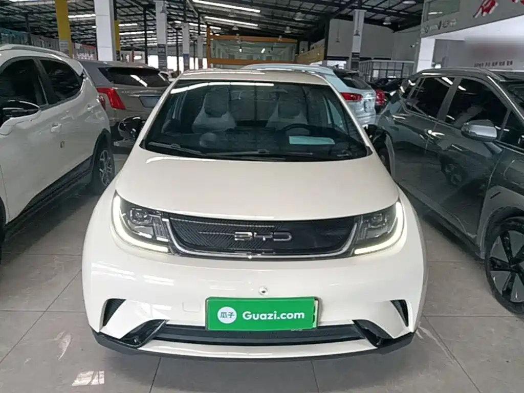 BYD Dolphin — миниатюра 3