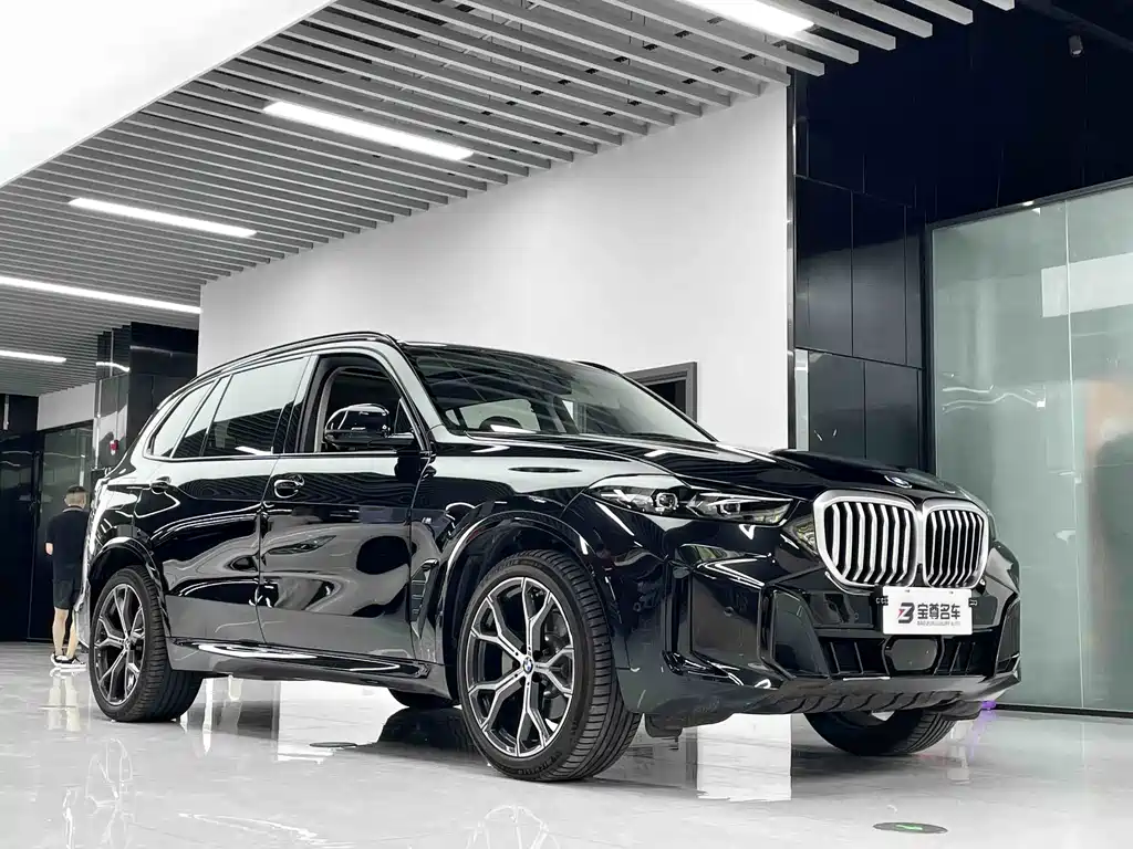 BMW X5 — миниатюра 3