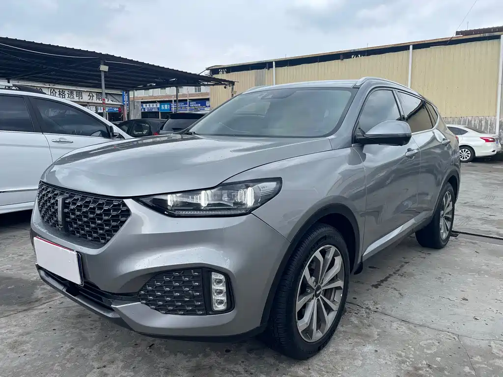 Wey Wey VV6 2020