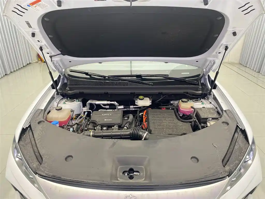 BYD SONGJIANG NEW ENERGY