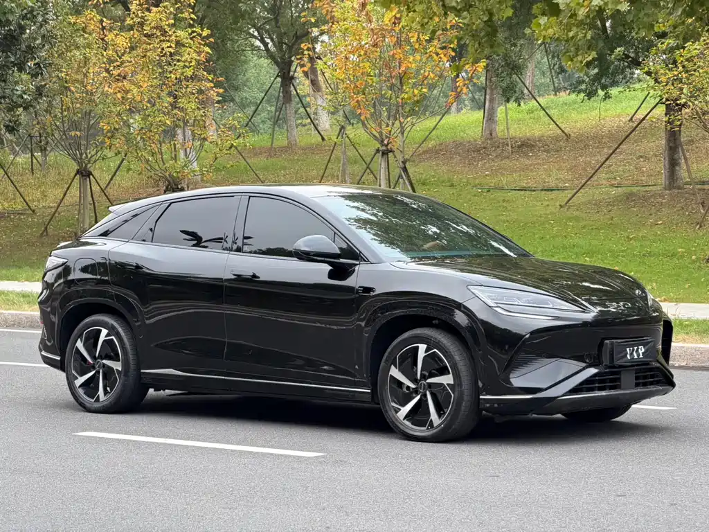 BYD Sealion 07 EV — миниатюра 3