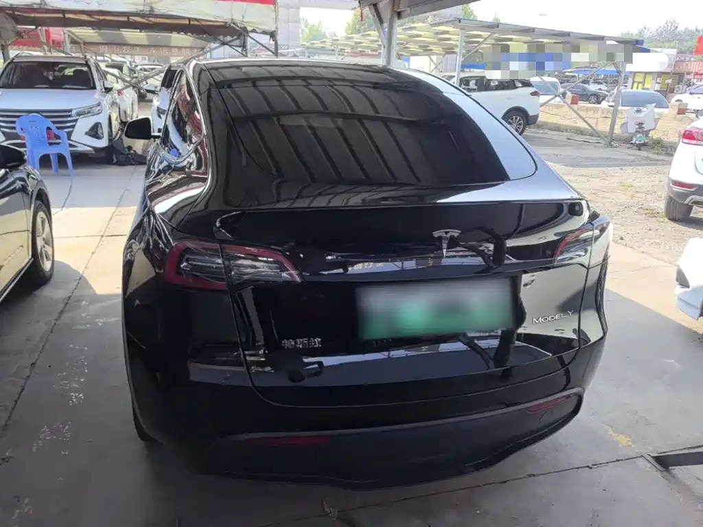 Tesla Model Y — миниатюра 6