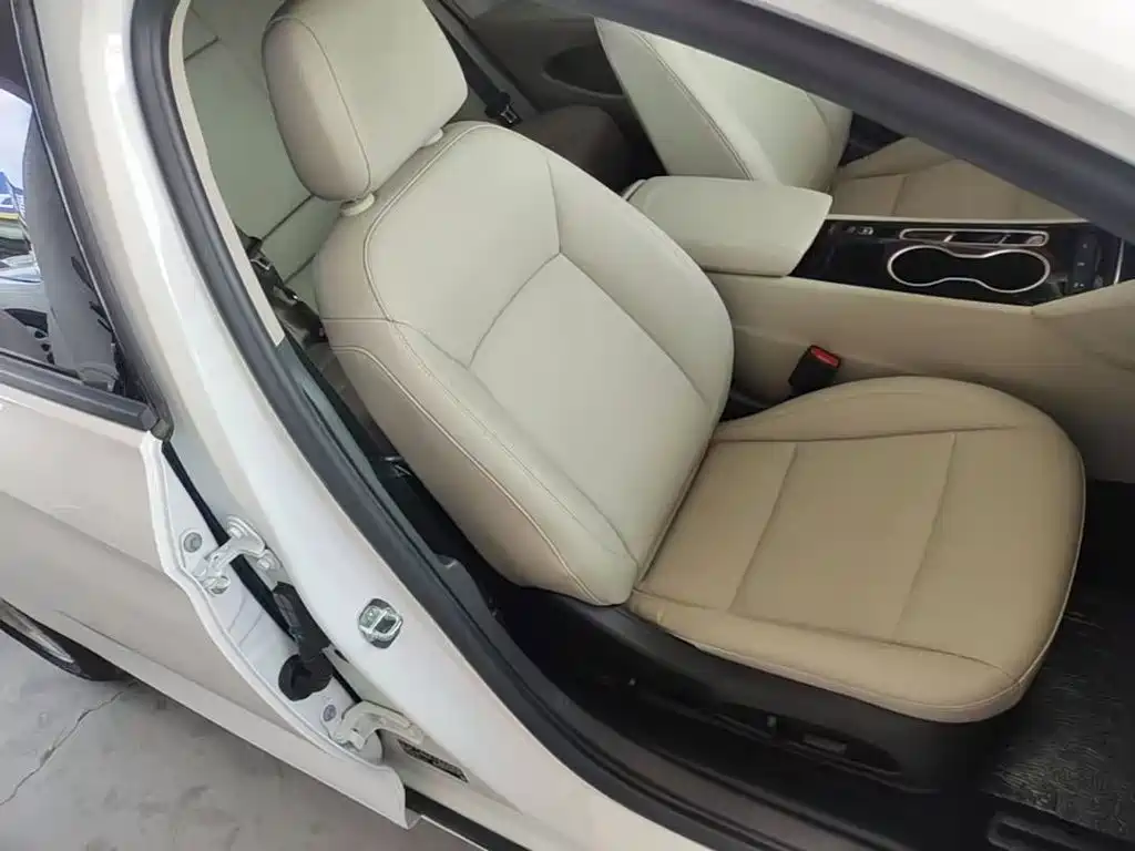 Buick Regal — миниатюра 25